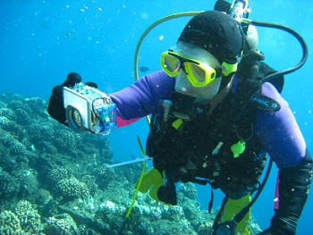 Diving around Maui